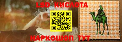 гидра Будённовск