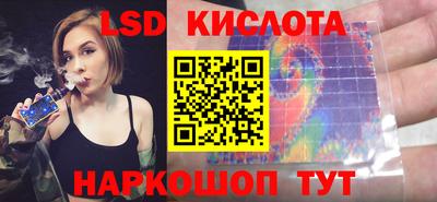 гидра Будённовск
