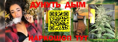 гидра Будённовск