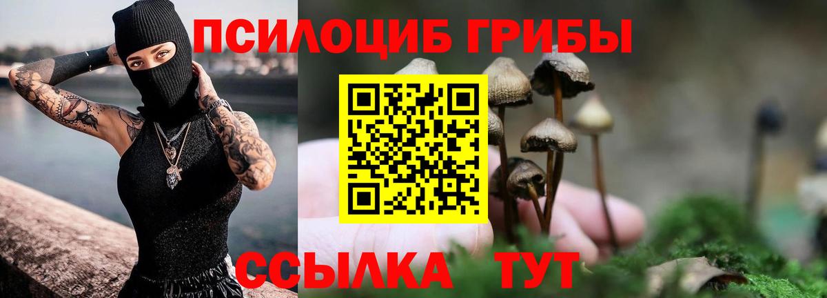 Янаул  Псилоцибиновые грибы Cubensis  Вход с VPN 